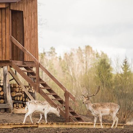 Arciau Gamtos Anyksciai Villa Kurkliai Eksteriør billede