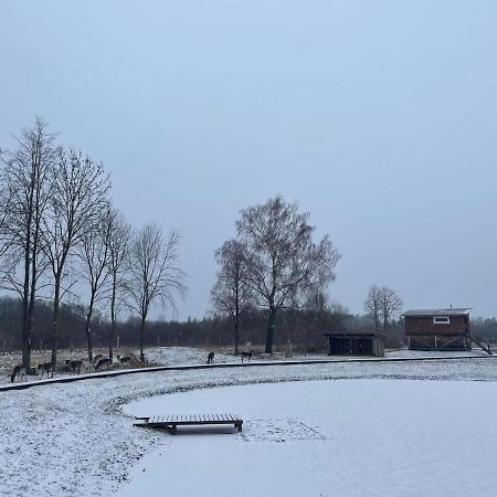 Arciau Gamtos Anyksciai Villa Kurkliai Eksteriør billede
