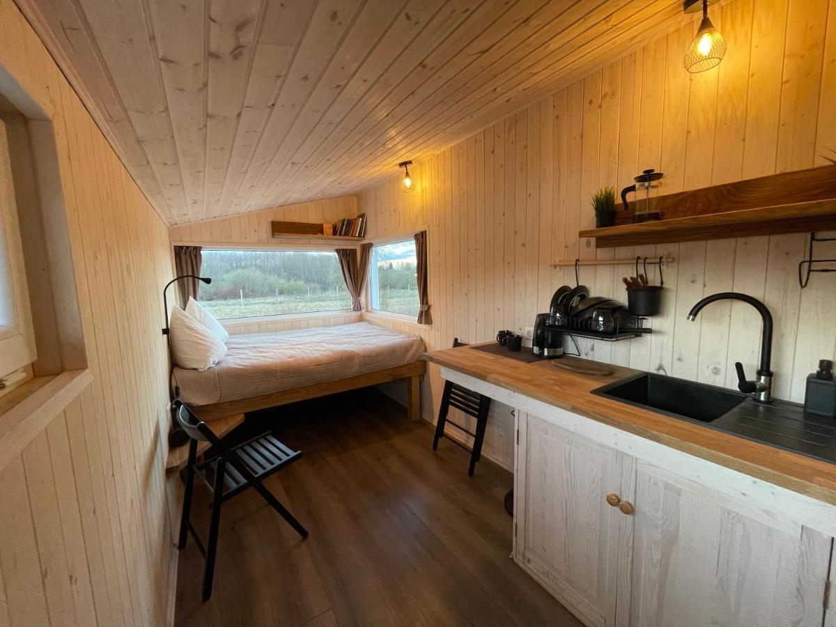 Arciau Gamtos Anyksciai Villa Kurkliai Eksteriør billede