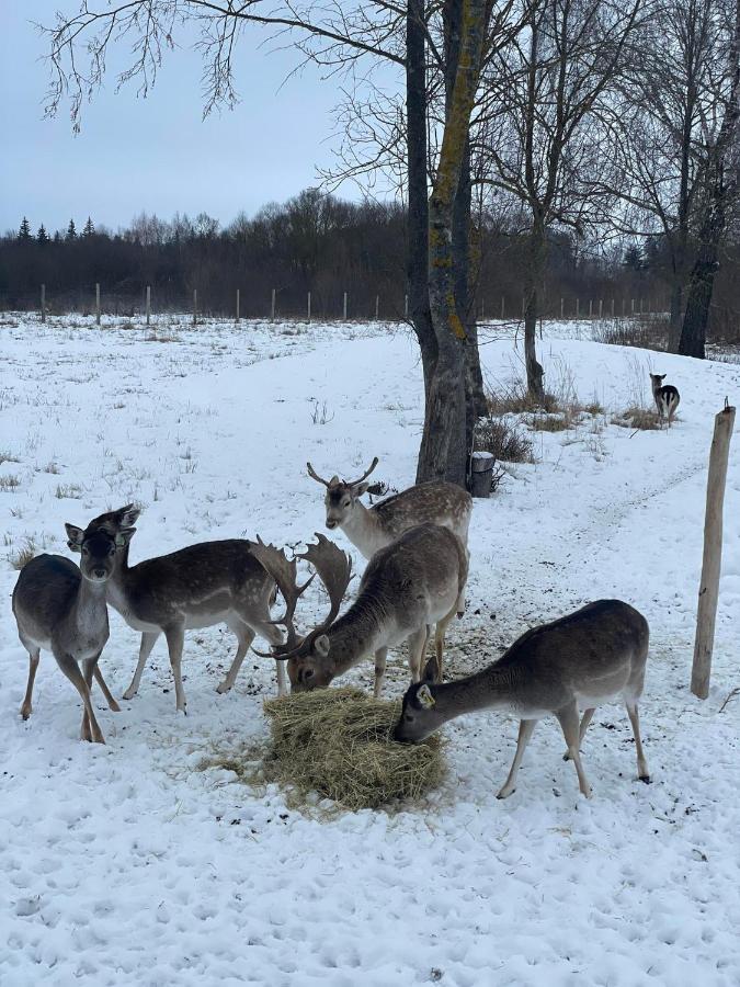 Arciau Gamtos Anyksciai Villa Kurkliai Eksteriør billede