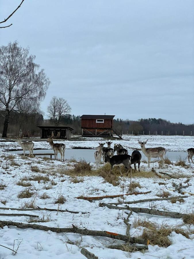 Arciau Gamtos Anyksciai Villa Kurkliai Eksteriør billede